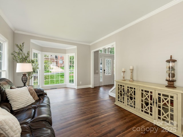 3721 Providence Plantation Ln, Charlotte, NC 28270 - living room with wood finished floors, ornamental molding, and baseboards