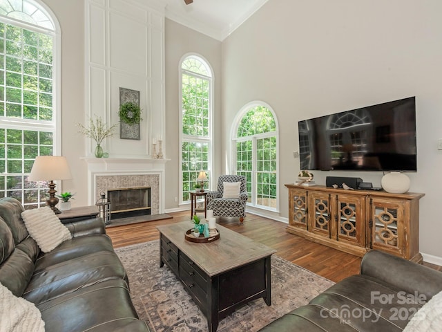 3721 Providence Plantation Ln, Charlotte, NC 28270 - living room with high vaulted ceiling, a fireplace, crown molding, wood finished floors, and baseboards