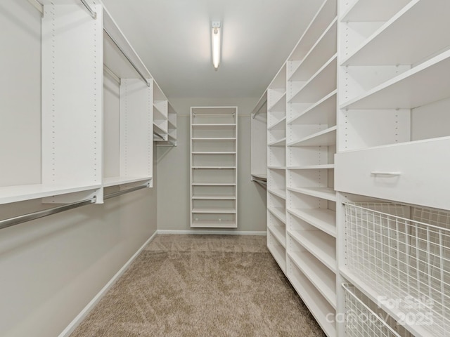 3721 Providence Plantation Ln, Charlotte, NC 28270 - walk in closet featuring carpet flooring