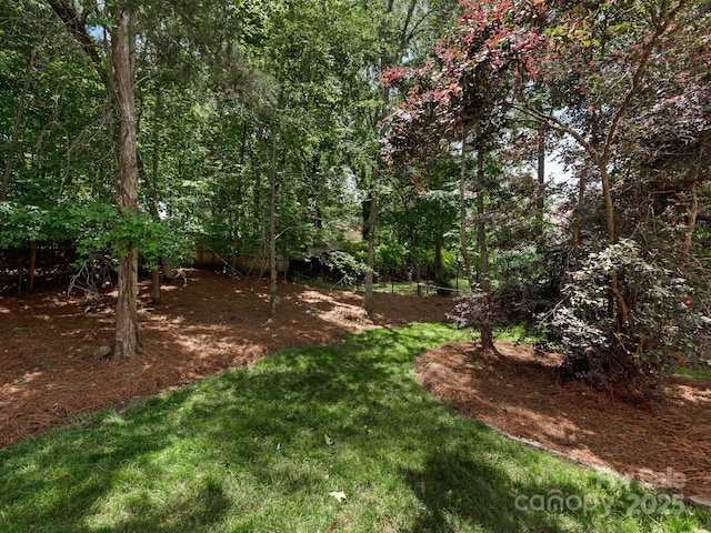 3721 Providence Plantation Ln, Charlotte, NC 28270 - view of grassy yard