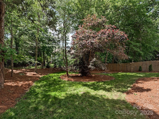 3721 Providence Plantation Ln, Charlotte, NC 28270 - view of yard