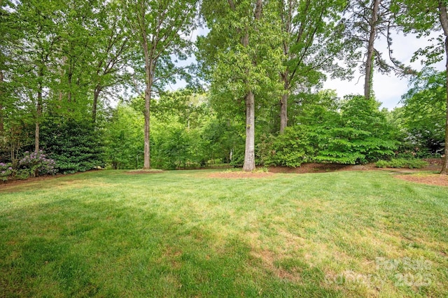 12048 Royal Portrush Dr, Charlotte, NC 28277 - view of yard