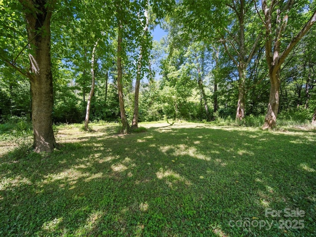 4101 New Castle Ln, Monroe, NC 28110 - view of grassy yard