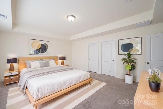 1540 Striped Bass Ln, Clover, SC 29710 - bedroom featuring a raised ceiling, carpet, and baseboards