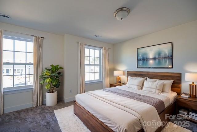 1540 Striped Bass Ln, Clover, SC 29710 - carpeted bedroom with multiple windows and baseboards