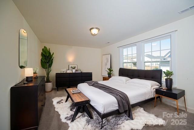 1540 Striped Bass Ln, Clover, SC 29710 - bedroom featuring light carpet
