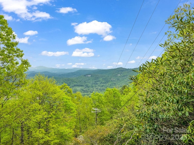 000 Pinnacle Mountain Rd, Hendersonville, NC 28790 - photo 1