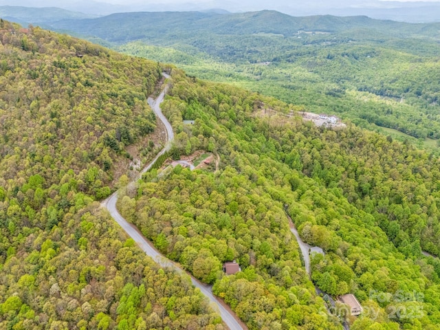 000 Pinnacle Mountain Rd, Hendersonville, NC 28790 - photo 2