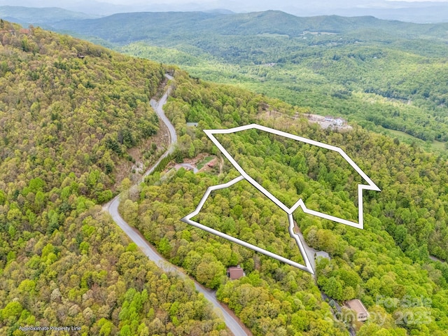 000 Pinnacle Mountain Rd, Hendersonville, NC 28790 - photo 3