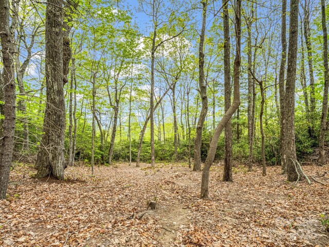000 Pinnacle Mountain Rd, Hendersonville, NC 28790 - photo 4