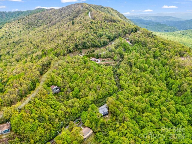 000 Pinnacle Mountain Rd, Hendersonville, NC 28790 - photo 5