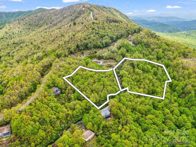 000 Pinnacle Mountain Rd, Hendersonville, NC 28790 - photo 6