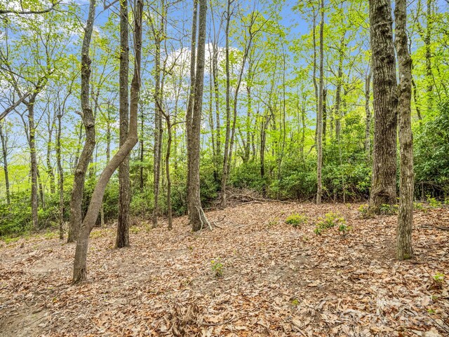 000 Pinnacle Mountain Rd, Hendersonville, NC 28790 - photo 7