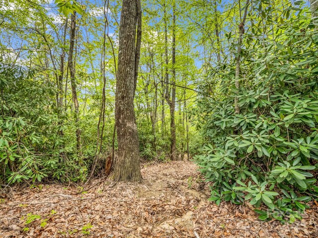 000 Pinnacle Mountain Rd, Hendersonville, NC 28790 - photo 8