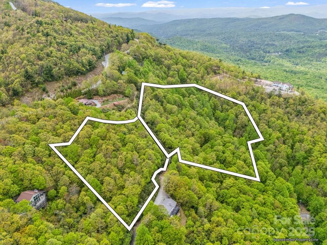 000 Pinnacle Mountain Rd, Hendersonville, NC 28790 - photo 10