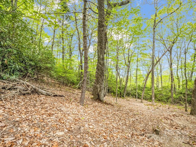 000 Pinnacle Mountain Rd, Hendersonville, NC 28790 - photo 11