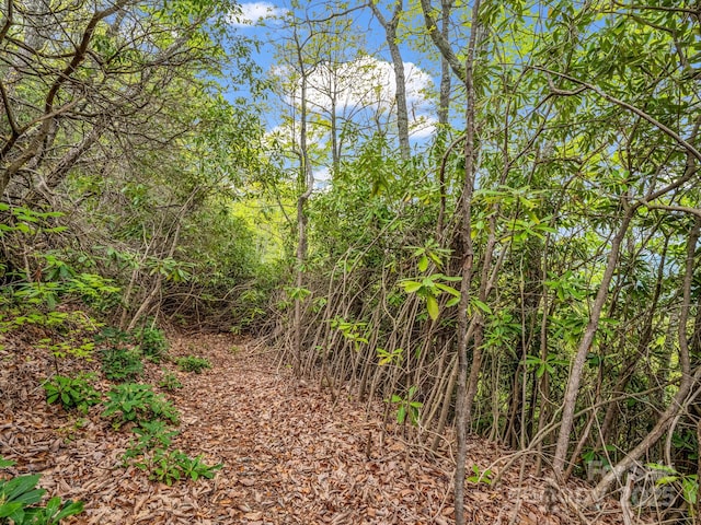 000 Pinnacle Mountain Rd, Hendersonville, NC 28790 - photo 12