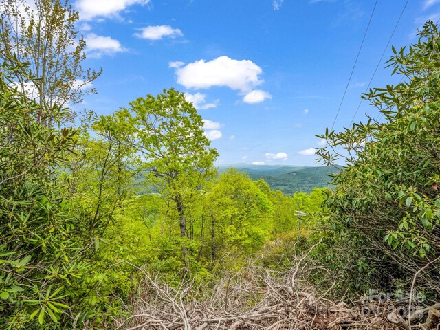 000 Pinnacle Mountain Rd, Hendersonville, NC 28790 - photo 13