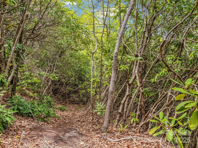 000 Pinnacle Mountain Rd, Hendersonville, NC 28790 - photo 14