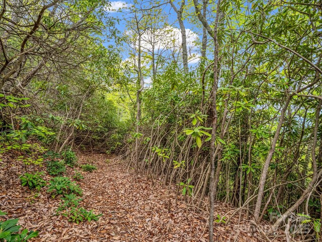 000 Pinnacle Mountain Rd, Hendersonville, NC 28790 - photo 15