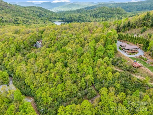 000 Pinnacle Mountain Rd, Hendersonville, NC 28790 - photo 17