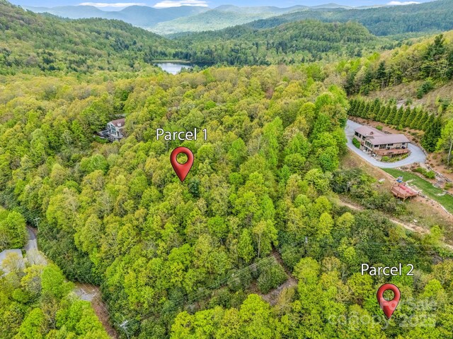 000 Pinnacle Mountain Rd, Hendersonville, NC 28790 - photo 18