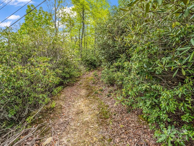 000 Pinnacle Mountain Rd, Hendersonville, NC 28790 - photo 19