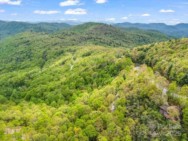 000 Pinnacle Mountain Rd, Hendersonville, NC 28790 - photo 20