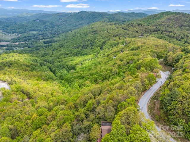 000 Pinnacle Mountain Rd, Hendersonville, NC 28790 - photo 21
