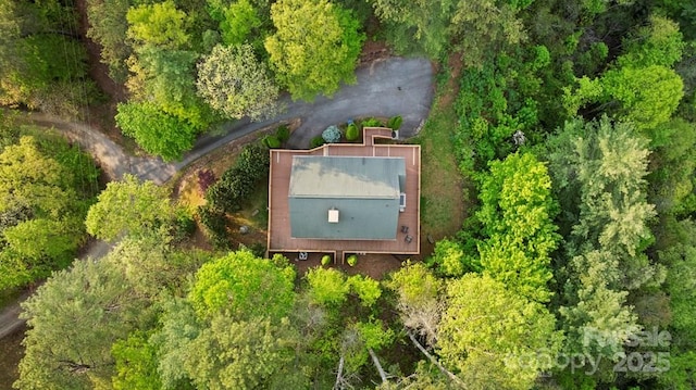 273 N Rhododendron Rd, Almond, NC 28702 - photo 4