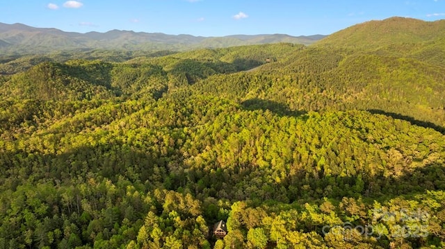 273 N Rhododendron Rd, Almond, NC 28702 - photo 6