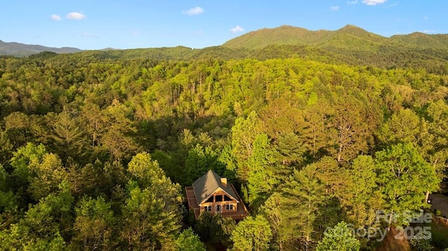 273 N Rhododendron Rd, Almond, NC 28702 - photo 7