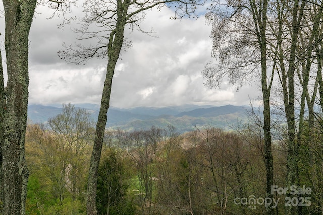 view of mountain backdrop featuring a heavily wooded area