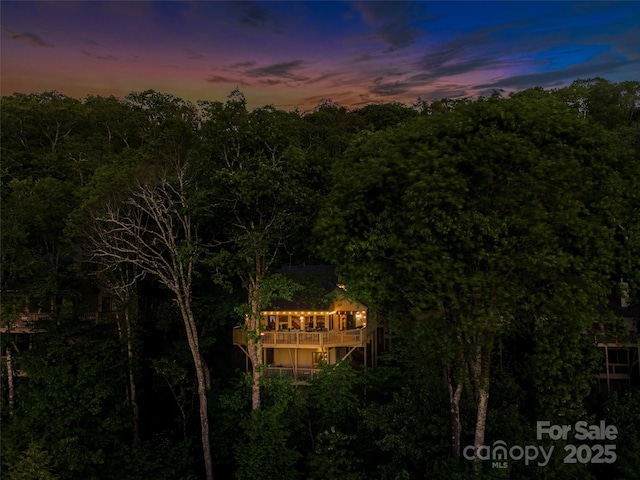 141 Ivy Ridge Rd, Burnsville, NC 28714 - aerial view at dusk of a view of trees