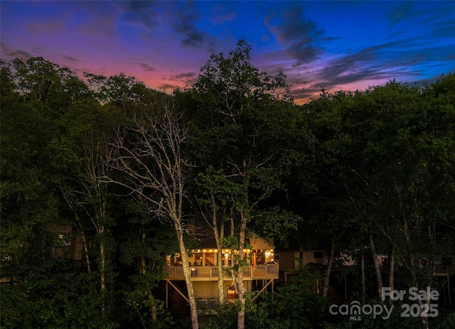 141 Ivy Ridge Rd, Burnsville, NC 28714 - view of yard featuring a wooden deck