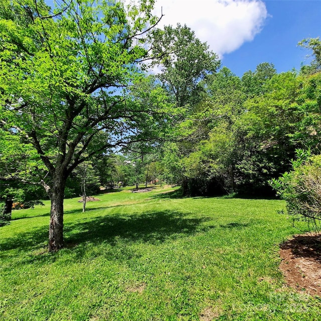 123 Longview Dr, Hendersonville, NC 28791 - photo 17