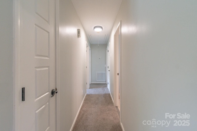 hallway with attic access, carpet flooring, and baseboards