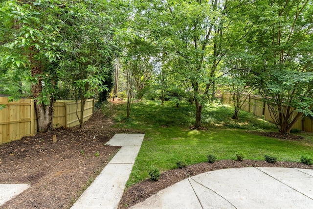 view of yard with a patio area and fence