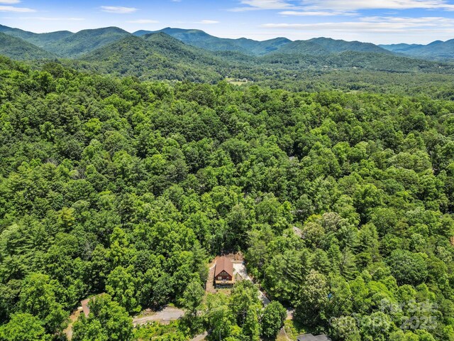 19 Frontier Ct, Asheville, NC 28805 - photo 38