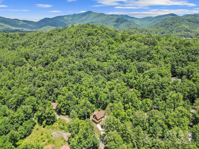 19 Frontier Ct, Asheville, NC 28805 - photo 39