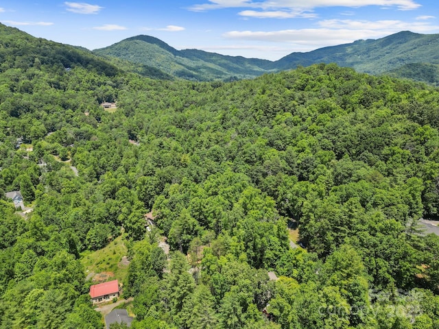 19 Frontier Ct, Asheville, NC 28805 - photo 40