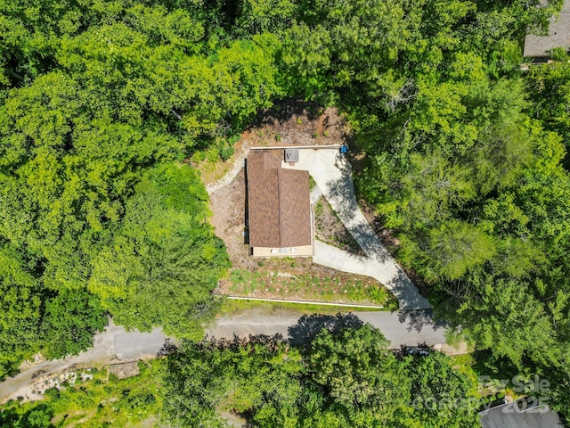 19 Frontier Ct, Asheville, NC 28805 - photo 41