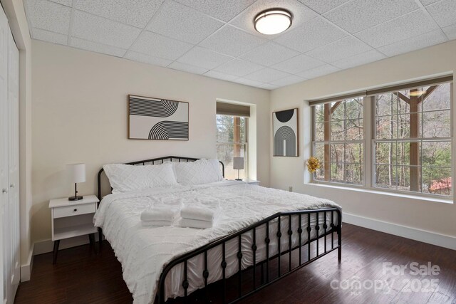 19 Frontier Ct, Asheville, NC 28805 - photo 24