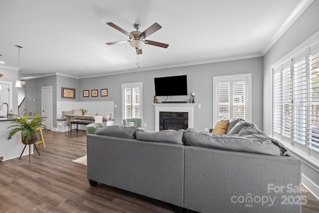 living room with dark wood-style floors, crown molding, ceiling fan, and a glass covered fireplace