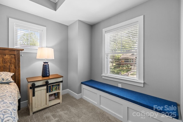 bedroom featuring light colored carpet and baseboards