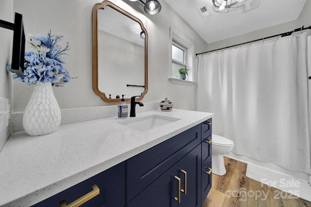 456 Rainbow Cir, Clover, SC 29710 - bathroom featuring wood finished floors, toilet, and vanity