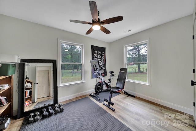 456 Rainbow Cir, Clover, SC 29710 - workout room featuring light wood-style floors, healthy amount of natural light, ceiling fan, and baseboards