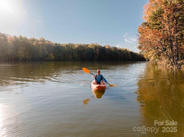 water view with a heavily wooded area
