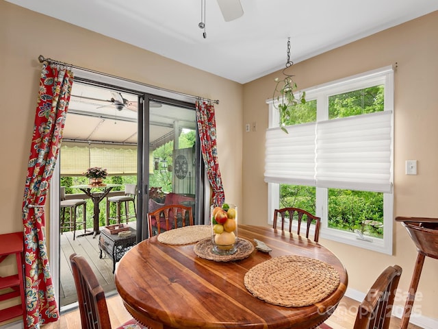 112 Deerlake Dr, Asheville, NC 28803 - dining room with a ceiling fan and baseboards