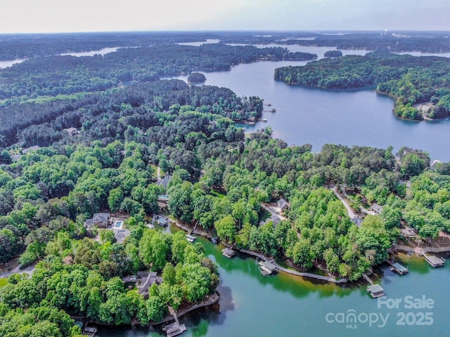 112 Eagle Chase Ln, Troutman, NC 28166 - bird's eye view of a forest and a large body of water